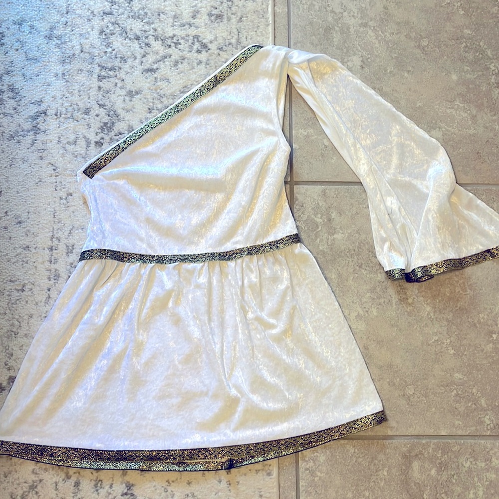 Under wraps toga costume size medium